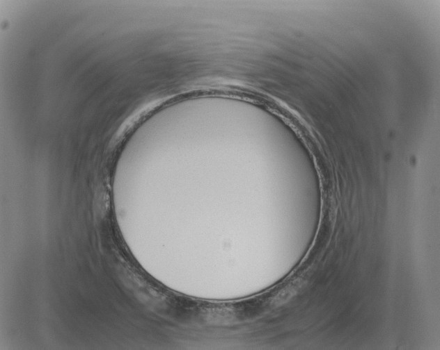 X0000083011363200702231801