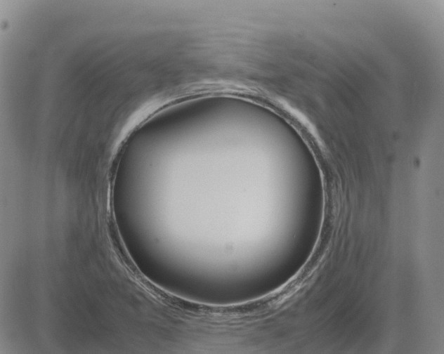 X0000083011365200702231801