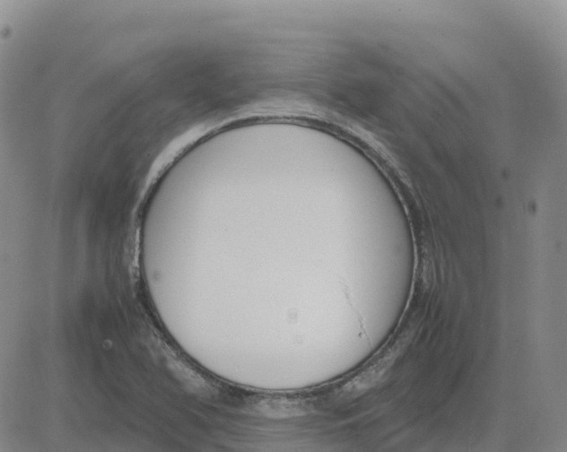 X0000083011366200702231801