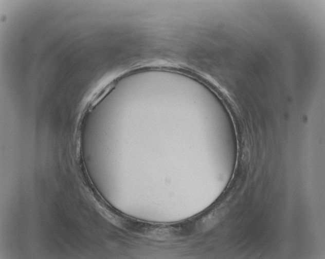 X0000083011367200702231801