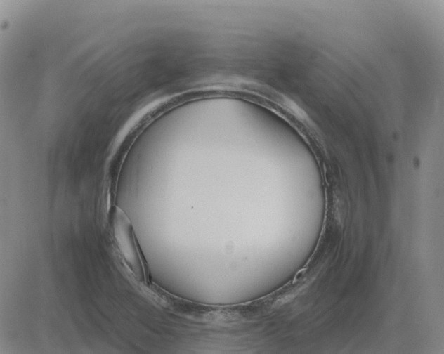 X0000083011368200702231801