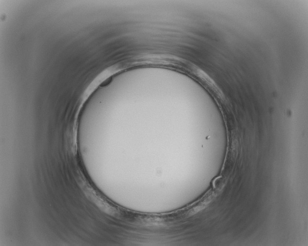 X0000083011370200702231801