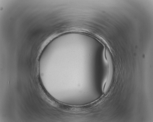 X0000083011371200702231801