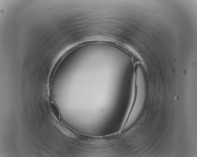 X0000083011372200702231801