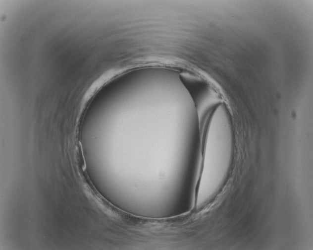 X0000083011373200702231801