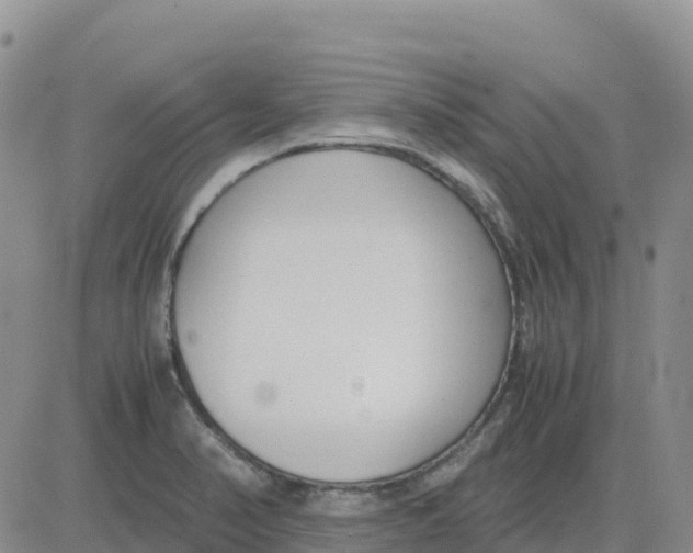 X0000083011374200702231801