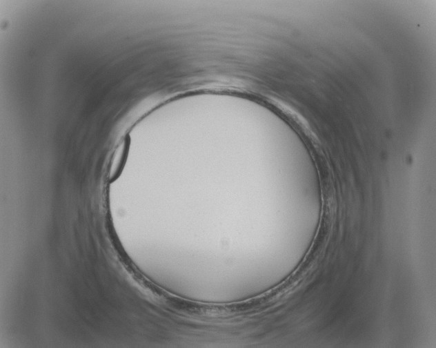 X0000083011375200702231801