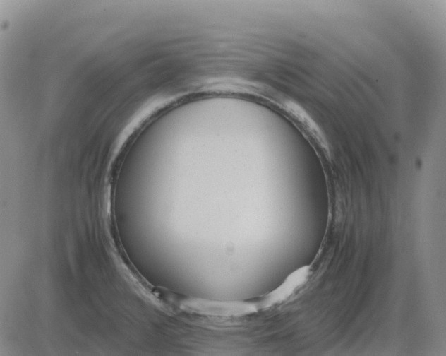 X0000083011376200702231801