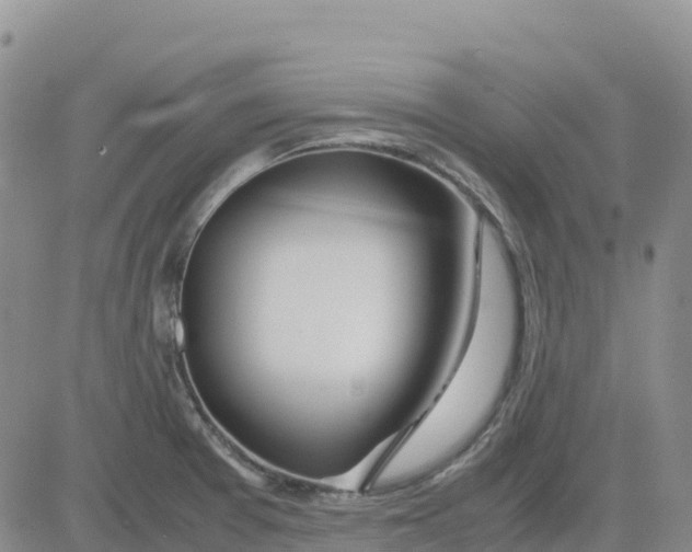 X0000083011377200702231801