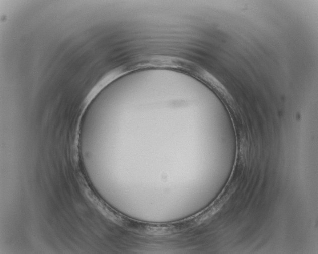 X0000083011378200702231801