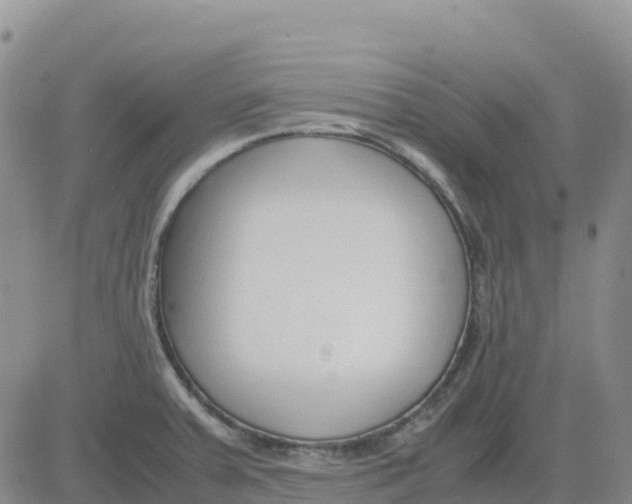 X0000083011379200702231801