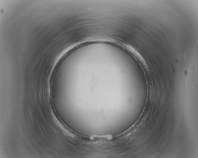 X0000083011380200702231801