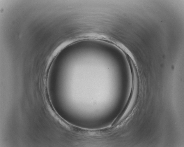 X0000083011381200702231801