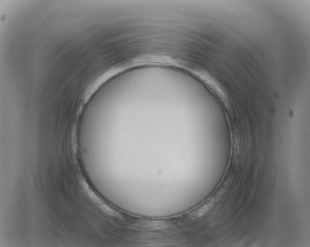 X0000083011382200702231801