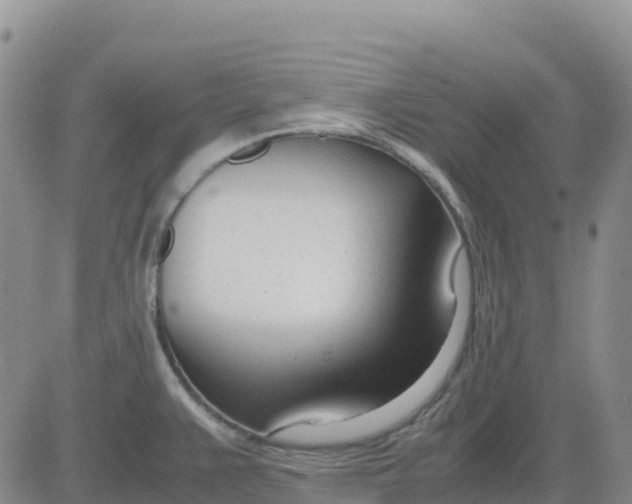 X0000083011383200702231801