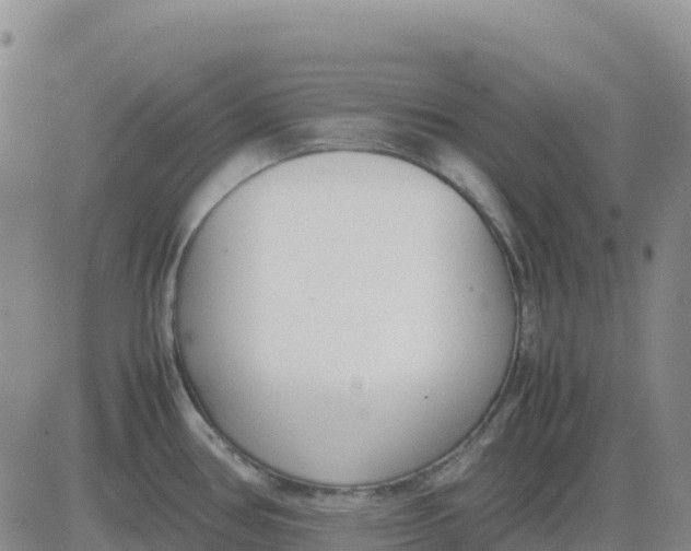 X0000083011386200702231801