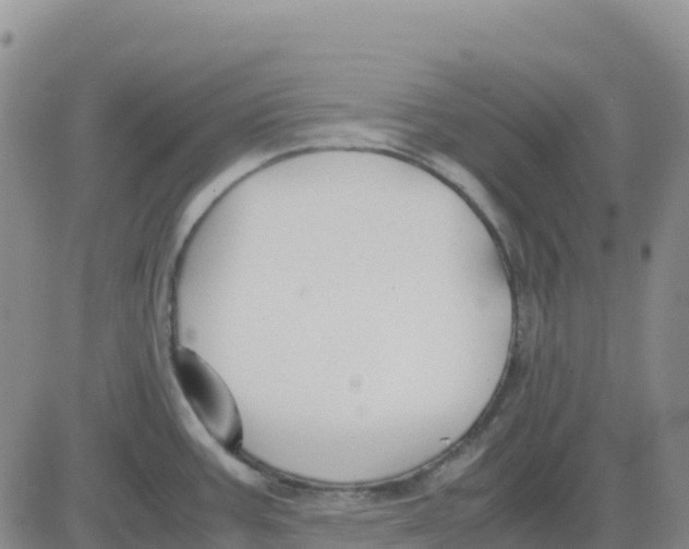 X0000083011387200702231801