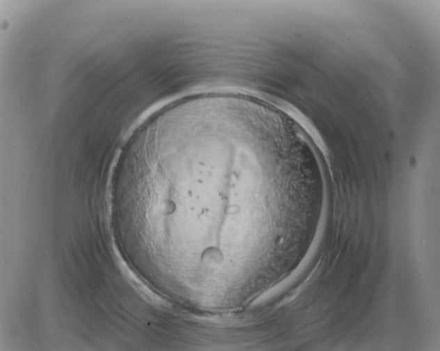 X0000083011388200702231801