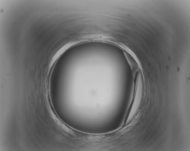 X0000083011389200702231801