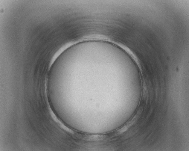 X0000083011390200702231801