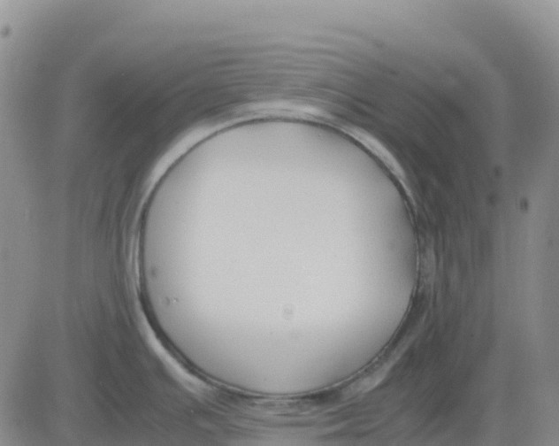 X0000083011391200702231801