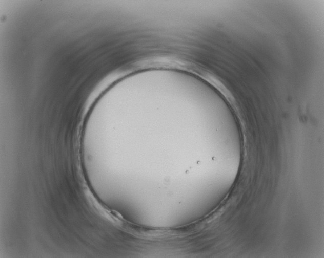 X0000083011392200702231801