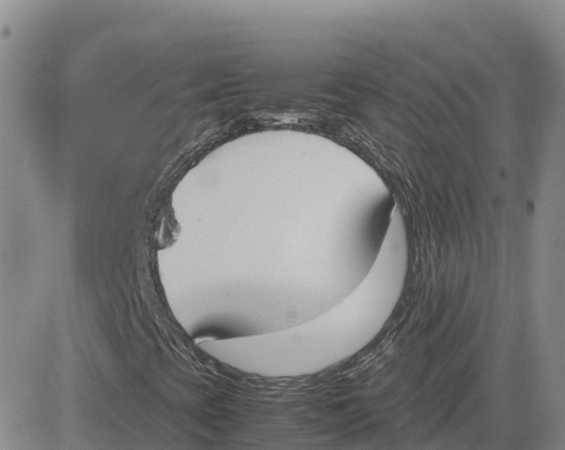 X0000083011393200702231800