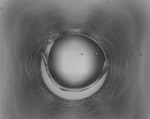 X0000083011394200702231800