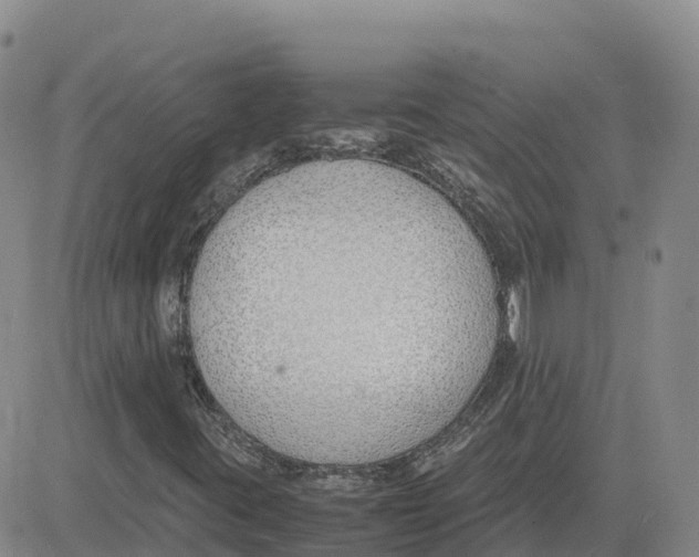 X0000083011395200702231800