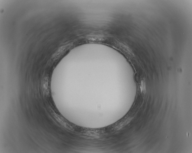 X0000083011396200702231800