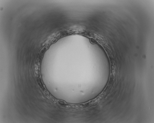 X0000083011397200702231800