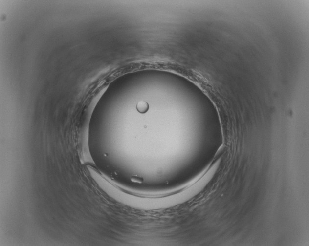 X0000083011398200702231800