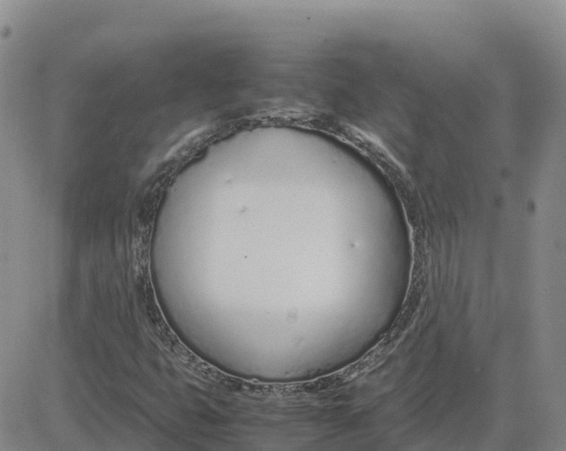 X0000083011399200702231800