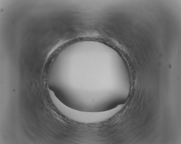 X0000083011400200702231800