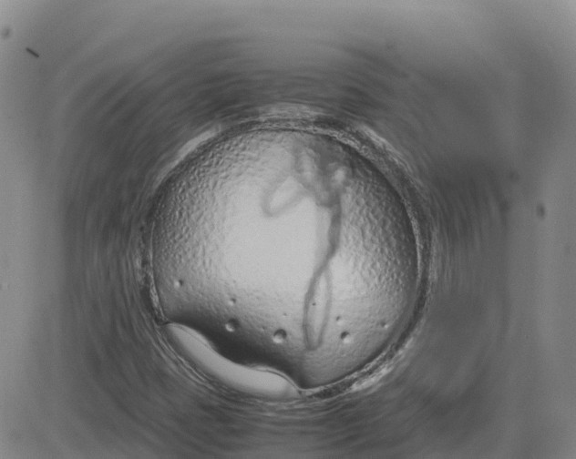 X0000083011401200702231800