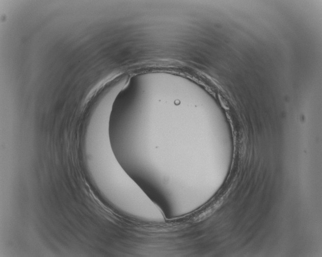 X0000083011402200702231800