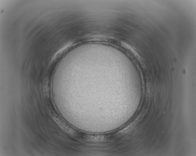 X0000083011403200702231800