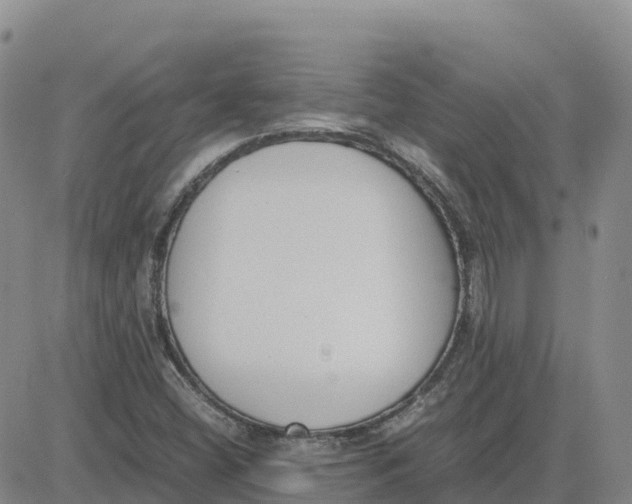 X0000083011404200702231800