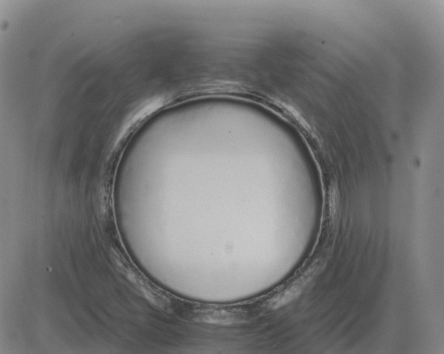 X0000083011405200702231800