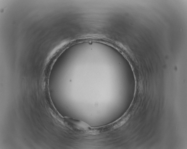 X0000083011406200702231800