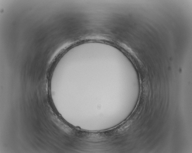 X0000083011408200702231800