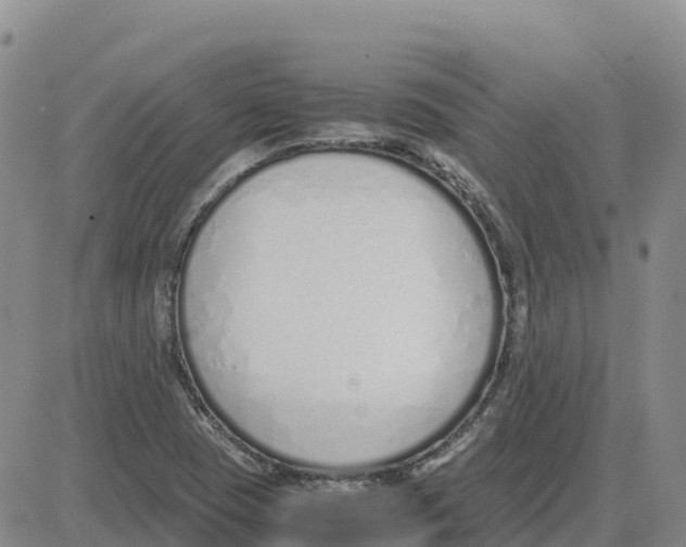 X0000083011409200702231800