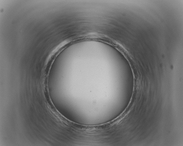 X0000083011410200702231800