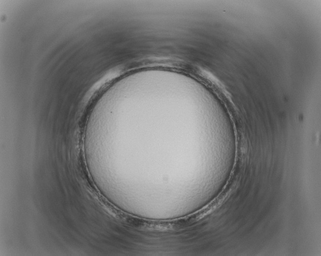 X0000083011411200702231800