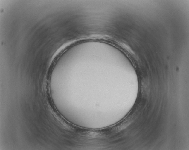 X0000083011412200702231800