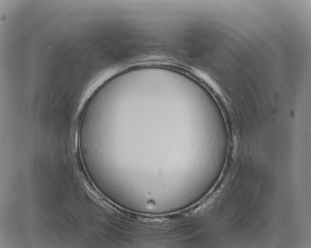 X0000083011413200702231800