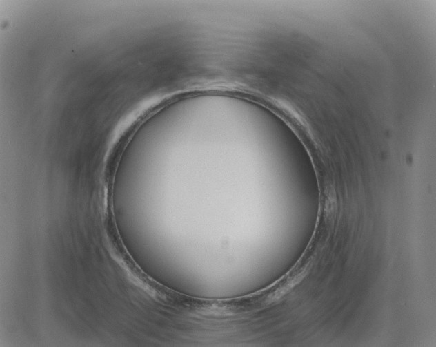 X0000083011414200702231800