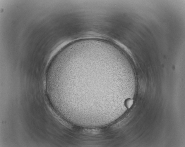 X0000083011415200702231800