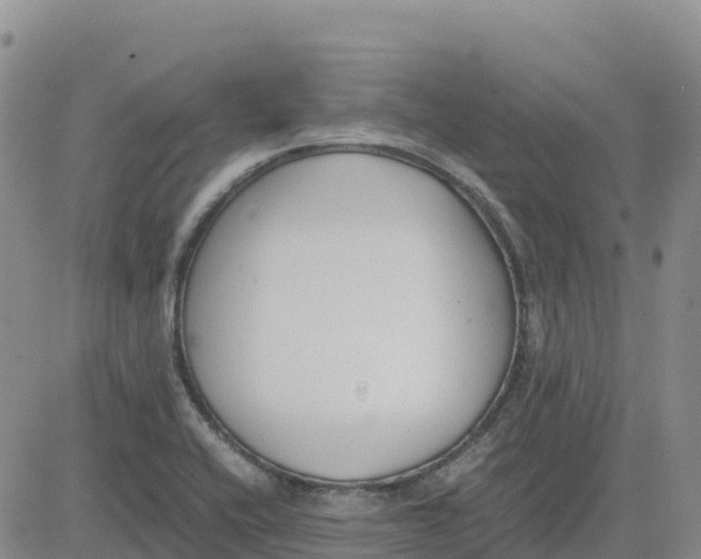 X0000083011416200702231800