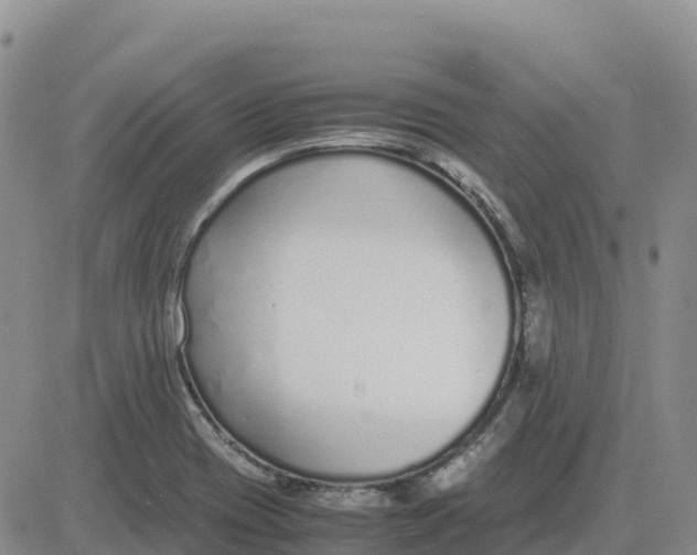 X0000083011417200702231800